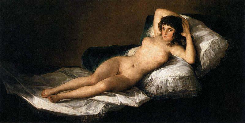 Francisco Goya The Nude Maja oil painting picture